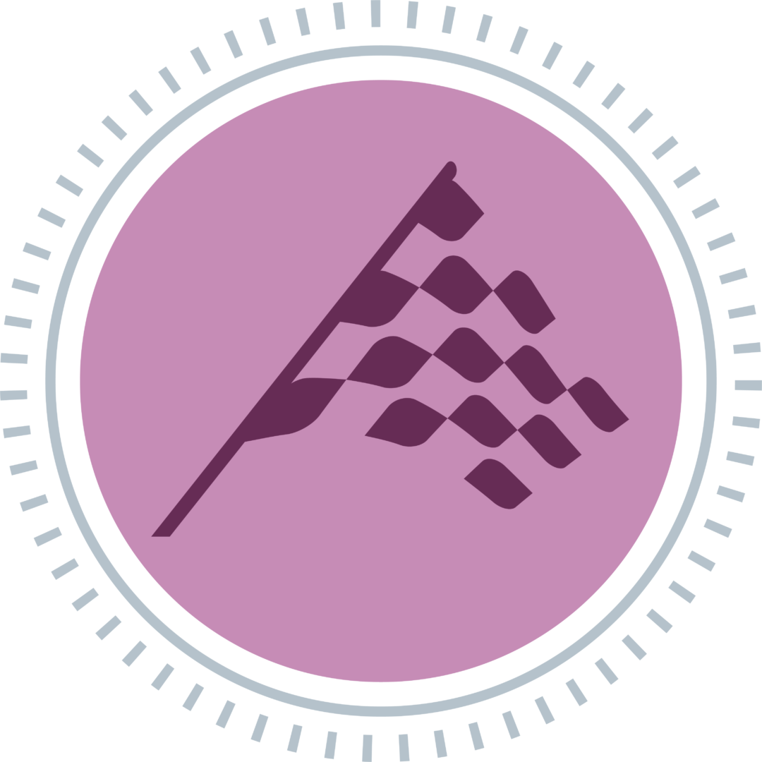 Smart Start Phase 4 Icon